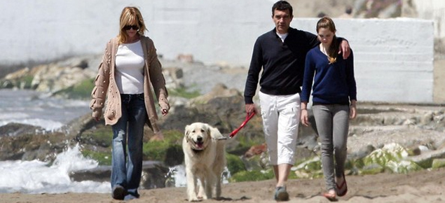 Melanie Griffith y Antonio Banderas pelean por los perros