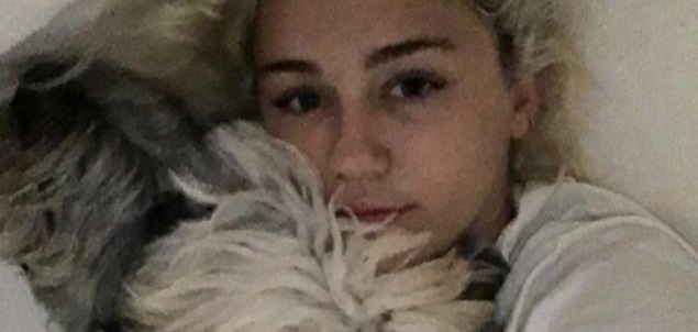 Miley Cyrus y Liam Hemsworth estn juntos de nuevo?