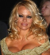 Pamela Anderson, por accidente o no, siempre muestra de ms.