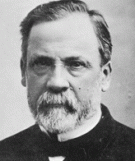 Louis Pasteur